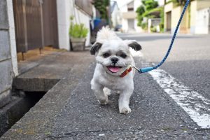 9月20日 習慣化