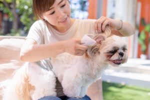 11月29日 お手入れはお家でも♪