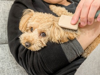 10月17日 お手入れ