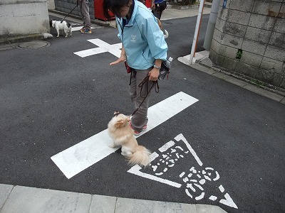 9月16日 お散歩