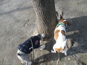 ２月７日　マーキング