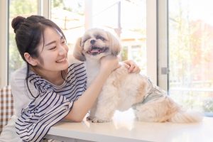 ３月１６日　犬と人の生活