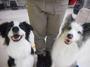 ４月６日　習慣化