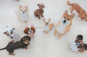 ４月２８日　十頭十色