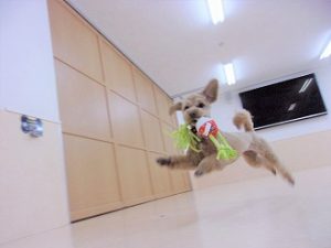 ６月１６日　運動