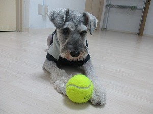 ７月２７日　遊び
