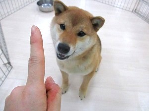 コマンドを連呼しない