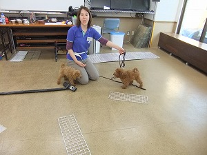 遊びたいさかり