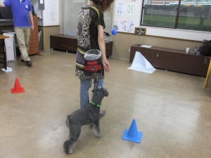 6月22日　トレーニングでゲーム☆