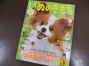 11月11日　いぬのきもち１２月号