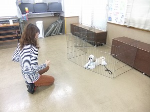 11月13日　遠隔の指示