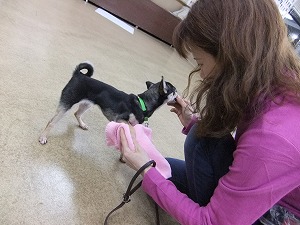 11月28日 足を拭きましょう