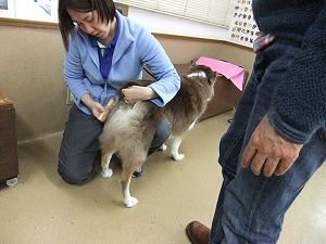 12月11日　お手入れの基本★