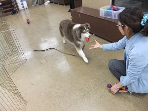 12月18日　Ｋ９★