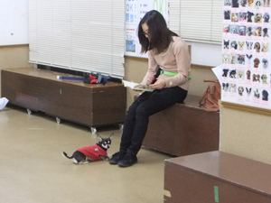 12月19日　上品わんこ