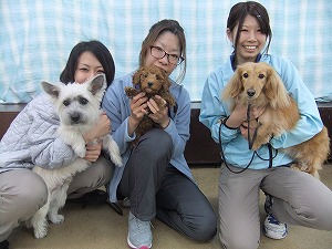 1月19日　犬たちの個性