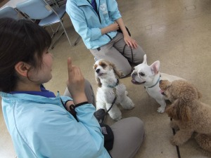 1月28日　トレーナーとしての仕事
