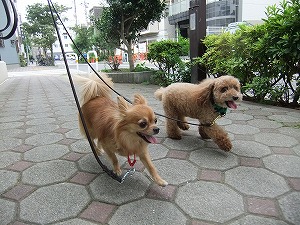 1月6日　問題はどのようにして起こるのか？