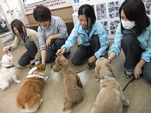 1月14日　犬種の特徴を理解して