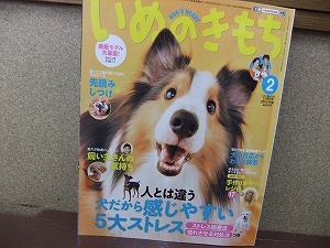 1月4日　いぬのきもち２月号