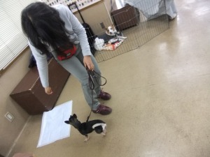 2月4日 ハンドタッチ
