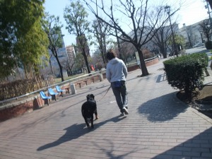 2月11日 どんなに年をとっても