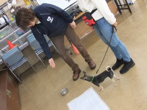 2月18日 誘惑なんかに負けない