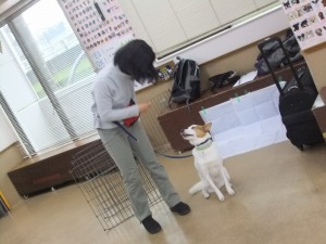 3月3日　愛犬と挑戦