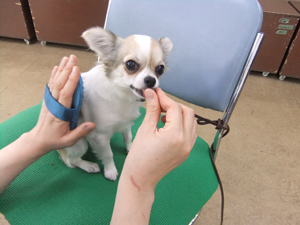 3月13日　ボディケア
