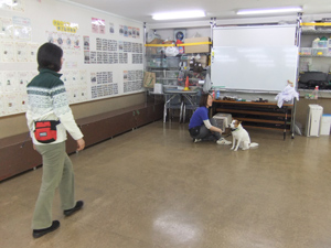 3月15日　ママが離れていても