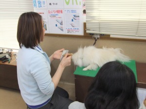 3月18日　道具の使い方