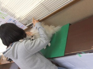 3月19日　挑戦
