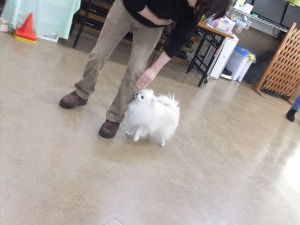 3月23日　ヒールポジション