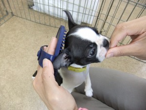 4月4日　トレーニングプラン
