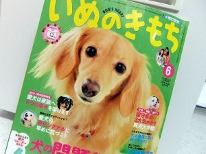 いぬのきもち６月号
