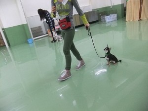 指示の区別