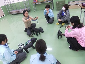 犬具について学んだよ！