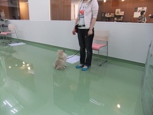集中！