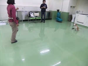 上手にマテ♪