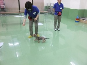こっちだよ！！