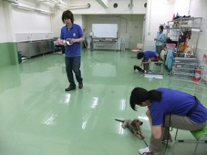 ファインダイニングに挑戦！