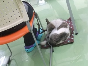 リラックス