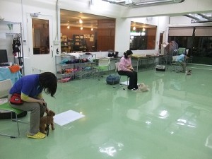 誰が１番かな？