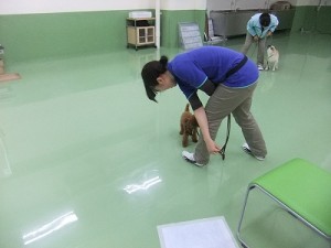 ハンドラーもかっこ良く！！ 