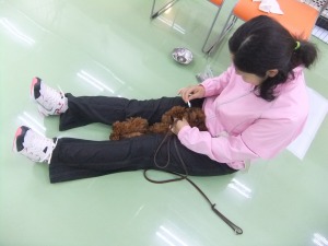 歯ブラシ♪