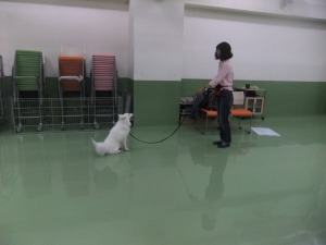 ちゃんと待てるかな？