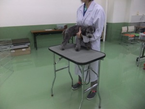 病院に慣れる