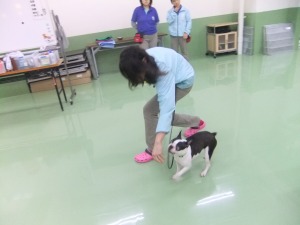 ついて歩こう！