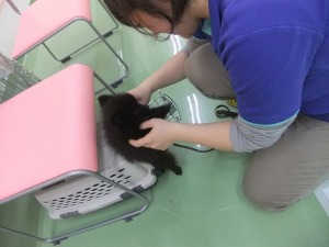 目指せ！お留守番の達人！！