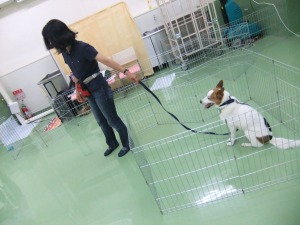 柵の中で・・・